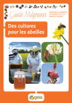 Des cultures pour les abeilles