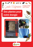 Des plantes pour notre énergie