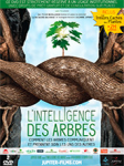 L'intelligence des arbres