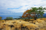 Repenser les savanes de Plateau Caillou