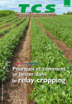Dossier ressources : pourquoi et comment se lancer dans le relay cropping
