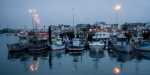 Filière maritime : la pêche au bord de la "crise industrielle"