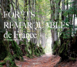Forêts remarquables de France